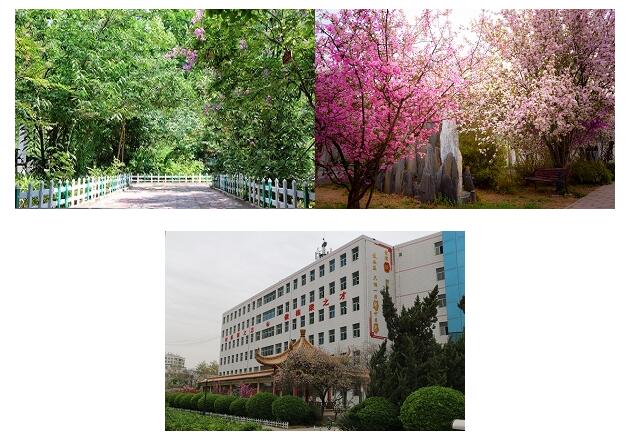 河北商贸学校校园景色 学校图片 第2张