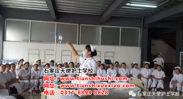 石家庄哪个护士学校最好 招生信息 第4张 石家庄哪个护士学校最好 招生信息 第4张