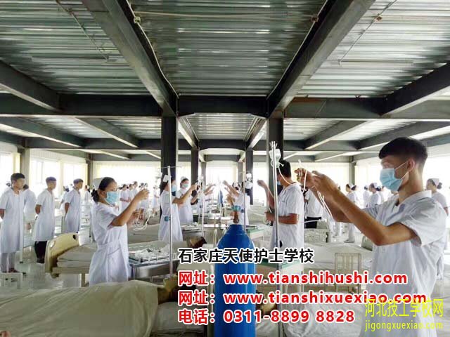 石家庄天使护士学校2020年秋季招生简章 招生信息 第4张 石家庄天使护士学校2020年秋季招生简章 招生信息 第4张