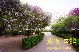 2020年如何报名河北商贸学校？