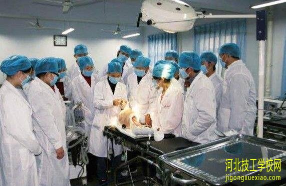 石家庄冀联医学院招生简章 招生信息 第2张