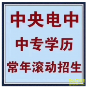 电大中专报名的时候有报名费吗
