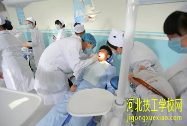 学口腔专业开始什么课程