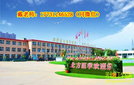 对口高考满分多少分，考试比例是多少