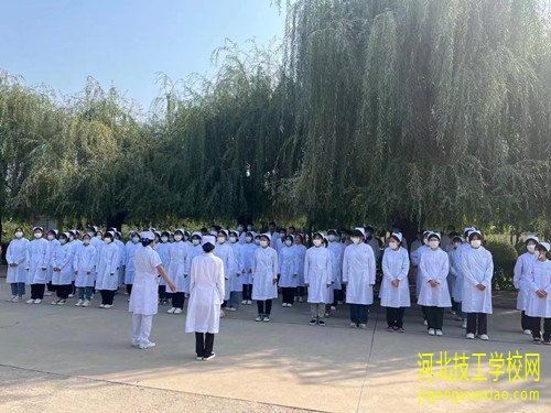 初中生上石家庄卫校要多少分？