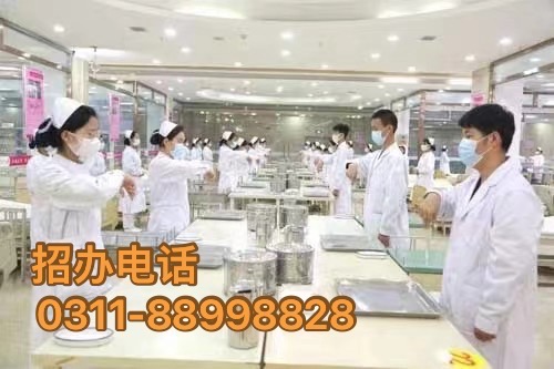 开启医护之路，石家庄天使护士学校2025年春季招生简章 招生学校 第3张