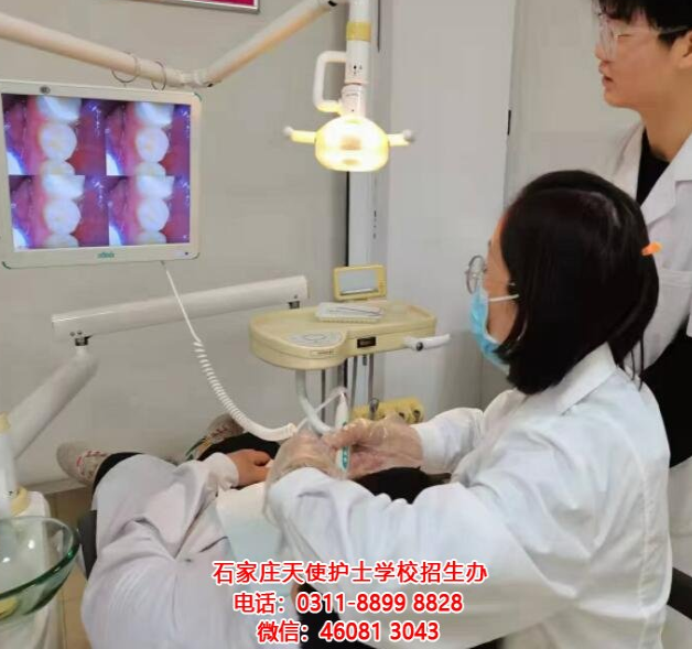 解读石家庄天使护士学校2025年春季口腔专业招生要求