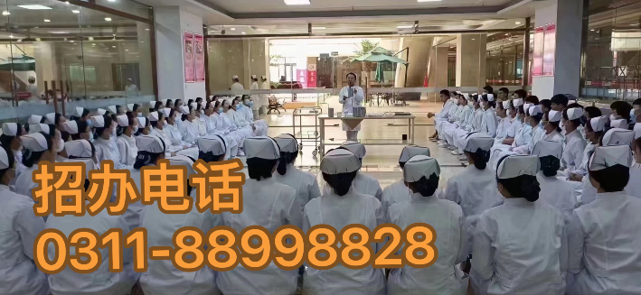 石家庄天使护士学校2025年春季招生专业 招生专业 第1张