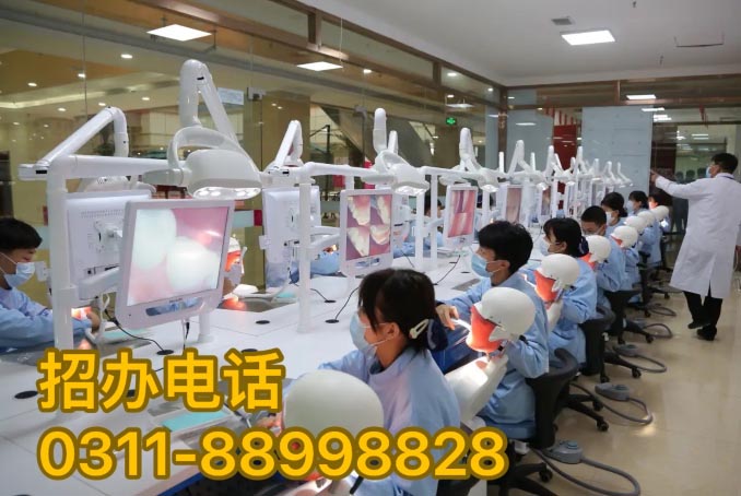 石家庄天使护士学校2026年春季招生简章 招生信息 第3张 石家庄天使护士学校2026年春季招生简章 招生信息 第3张