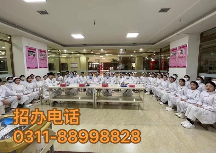 石家庄天使护士学校2026年春季招生简章 招生信息 第2张 石家庄天使护士学校2026年春季招生简章 招生信息 第2张