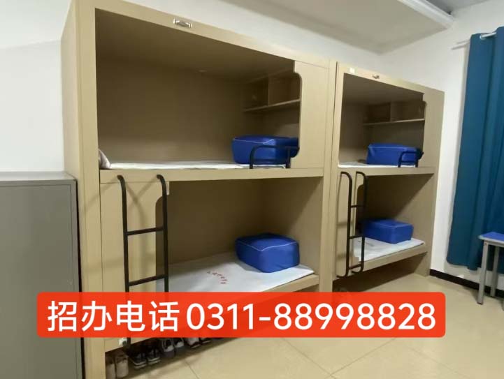 石家庄天使护士学校环境及食宿条件怎么样 学校图片 第2张