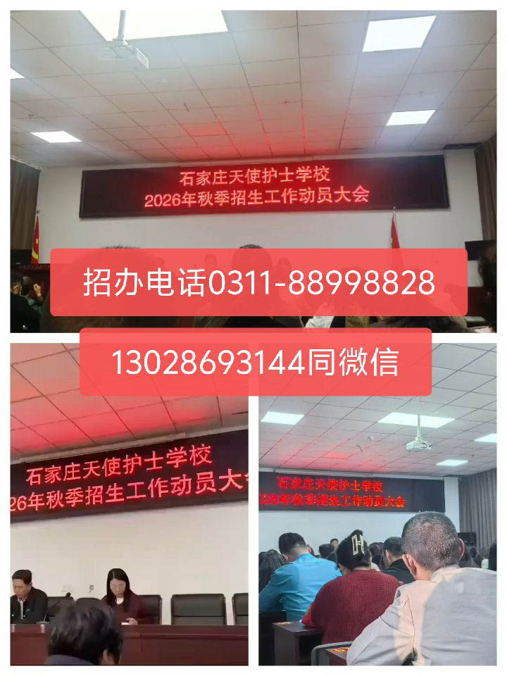 石家庄天使护士学校2026年秋季班招生简章 I 自主招生阶段 不卡分 限名额