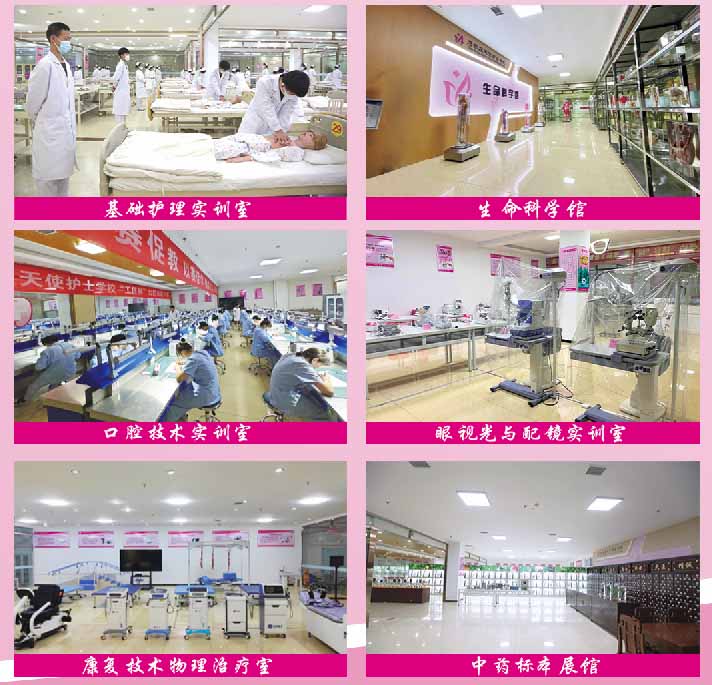 石家庄天使护士学校2026年秋季班招生简章 I 自主招生阶段 不卡分 限名额 招生信息 第2张