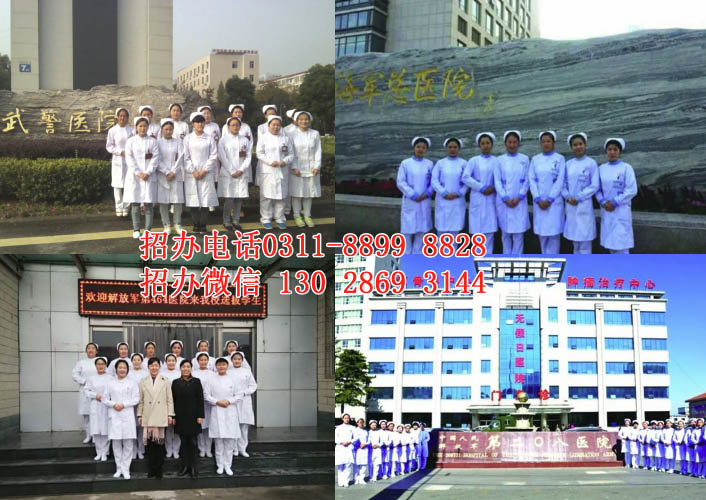 石家庄天使护士学校2026年秋季班招生简章 I 自主招生阶段 不卡分 限名额 招生信息 第6张