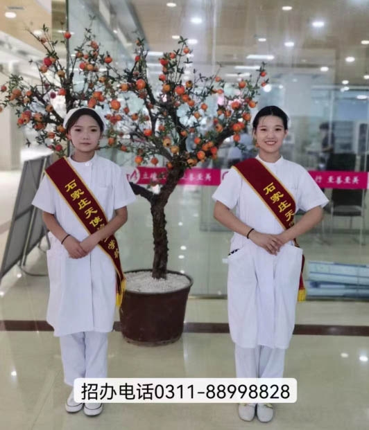 石家庄天使护士学校2026年秋季招生简章 石家庄天使护士学校秋季招生时间