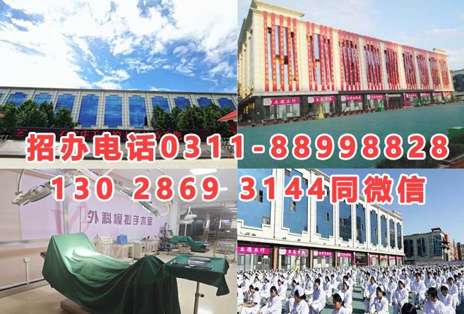 石家庄天使护士学校招生简章 石家庄天使护士学校2026年秋季招生时间 招生学校 第2张