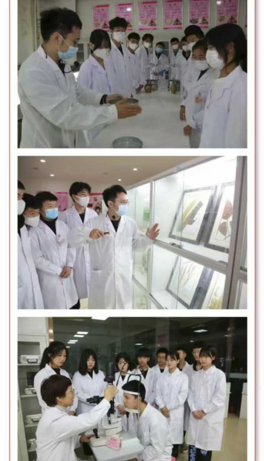 石家庄天使护士学校2026年秋季招生简章（图文版） 招生信息 第15张