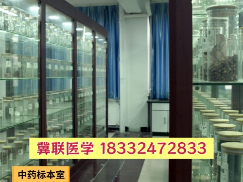 石家庄冀联医学中专学校药剂专业能从事什么工作？