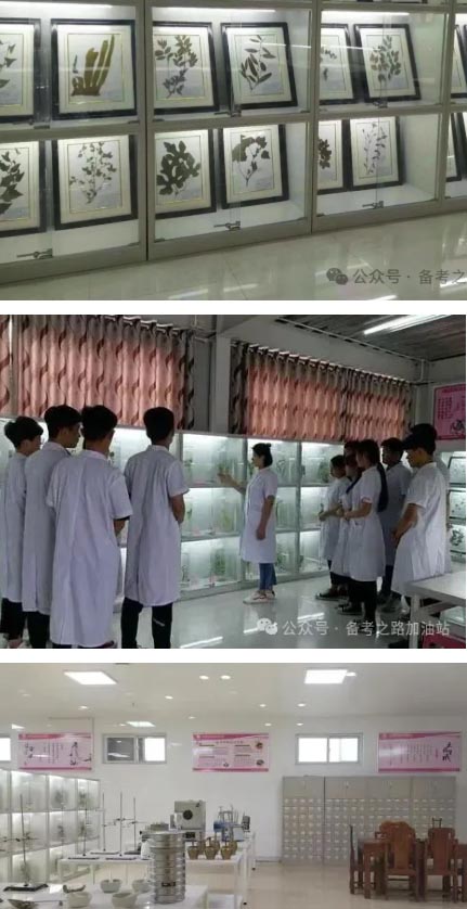 石家庄天使护士学校中药专业学习内容和实训厅展示
