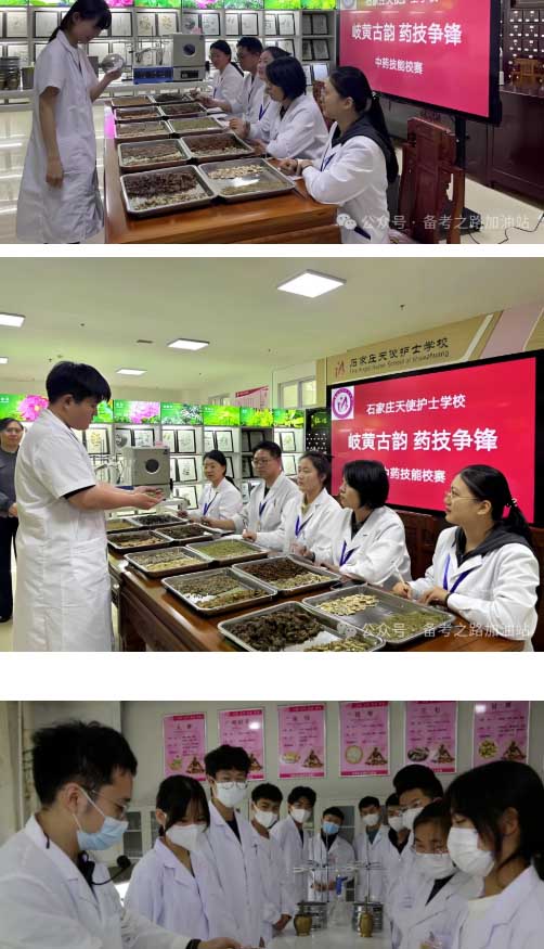 石家庄天使护士学校中药专业学习内容和实训厅展示 招生专业 第2张