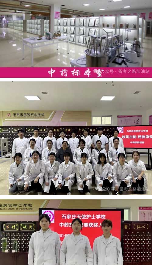 石家庄天使护士学校中药专业学习内容和实训厅展示 招生专业 第3张