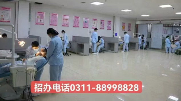 石家庄天使护士学校2026年秋季招生专业介绍（官方发布） 招生专业 第3张