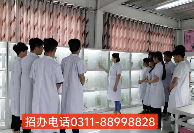 石家庄天使护士学校2026年秋季招生专业介绍（官方发布） 招生专业 第5张