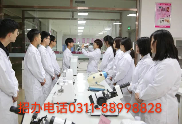 石家庄天使护士学校2026年秋季招生专业介绍（官方发布） 招生专业 第6张
